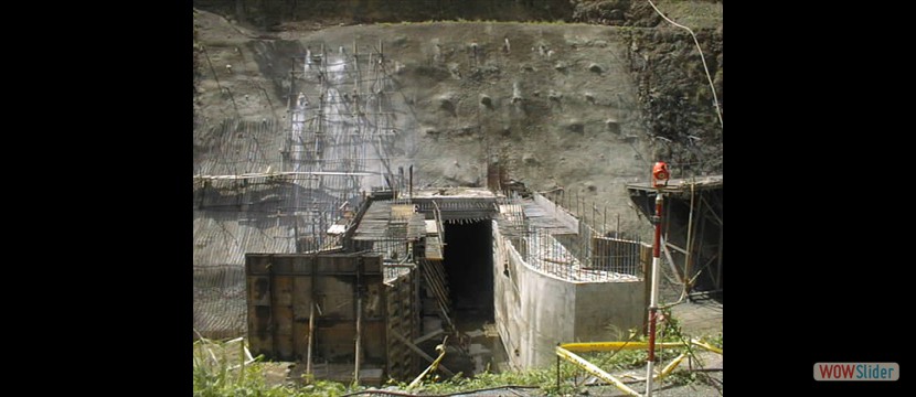 PIC00008